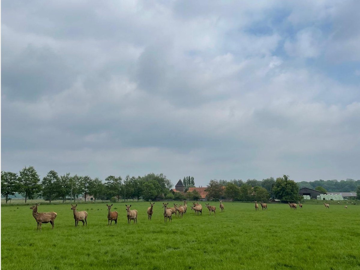 De boerderij