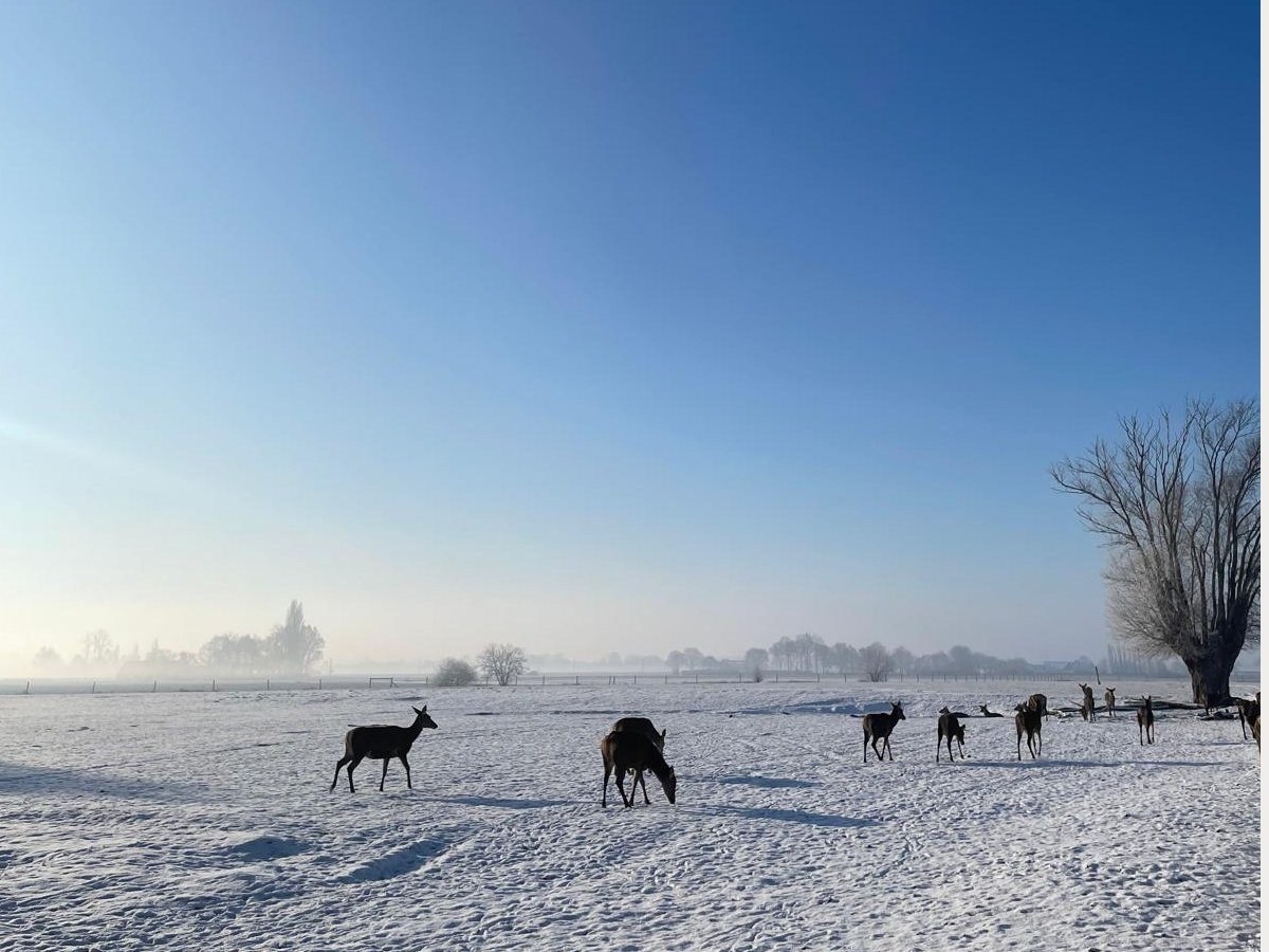De boerderij
