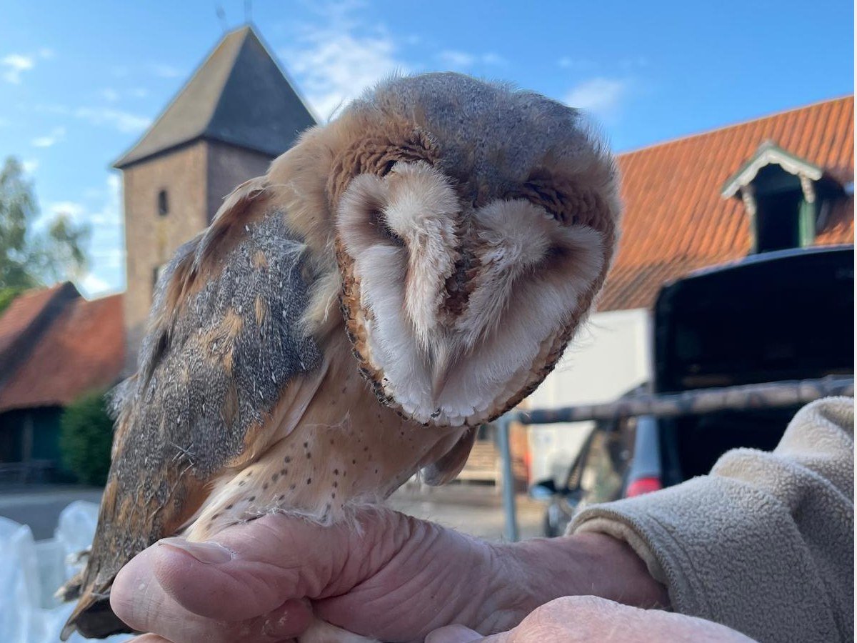 De boerderij
