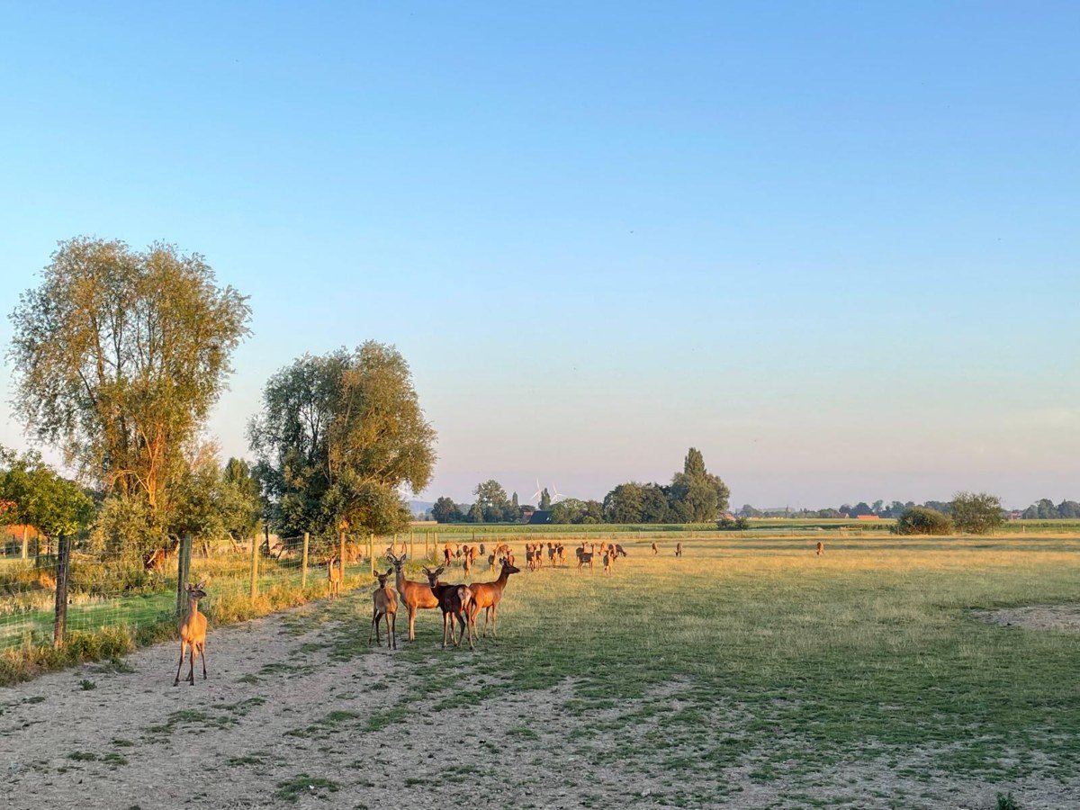De boerderij